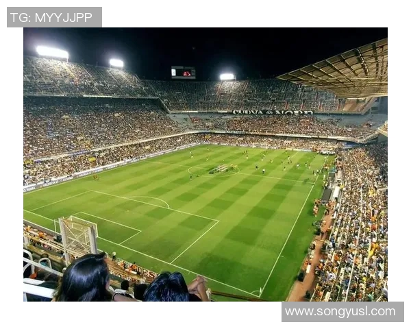 绿茵场上闪耀的英雄颂歌献给用激情与荣耀书写传奇的足球巨星